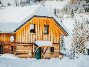 Kreischberg W5 Sankt Georgen Ob Murau